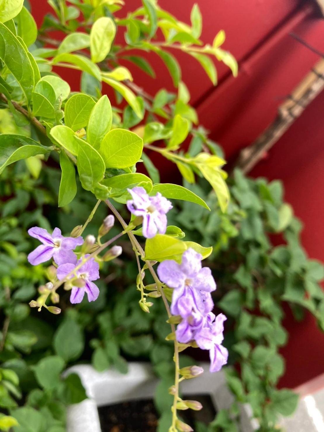 心適都蘭comfy Inn, Dulan Donghe Esterno foto